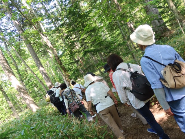 fieldtrip2026spr (17)