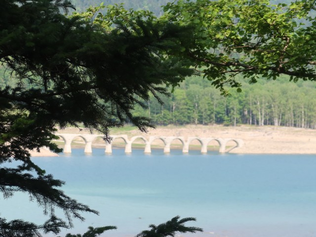 fieldtrip2026spr (18)