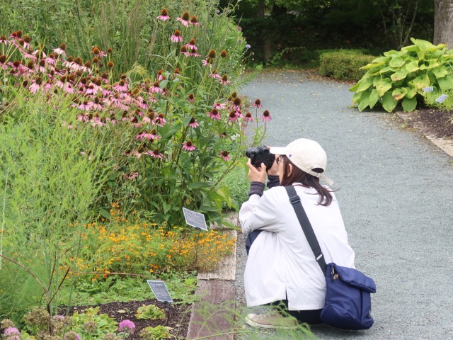 photoclass260829 (13)