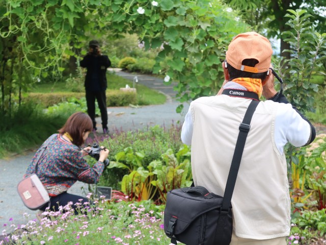 photoclass260829 (14)